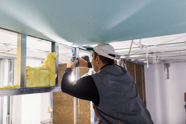 Best Insulation Installation Services in Oak Point, TX