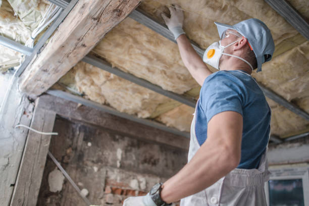 Best Commercial Insulation in Oak Point, TX